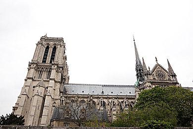 《牧场物语》系列公布两款新作 平台发售日期待定